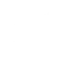 perbit referent zoo berlin white